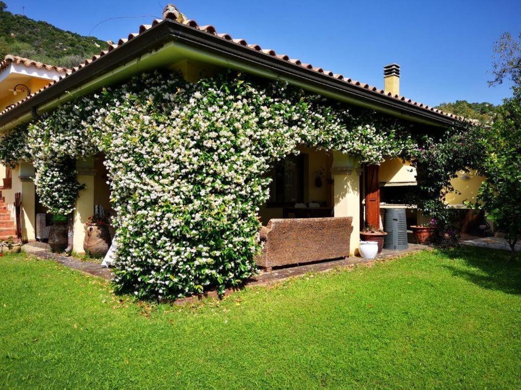 וילסימיוס Villa Emilietta מראה חיצוני תמונה
