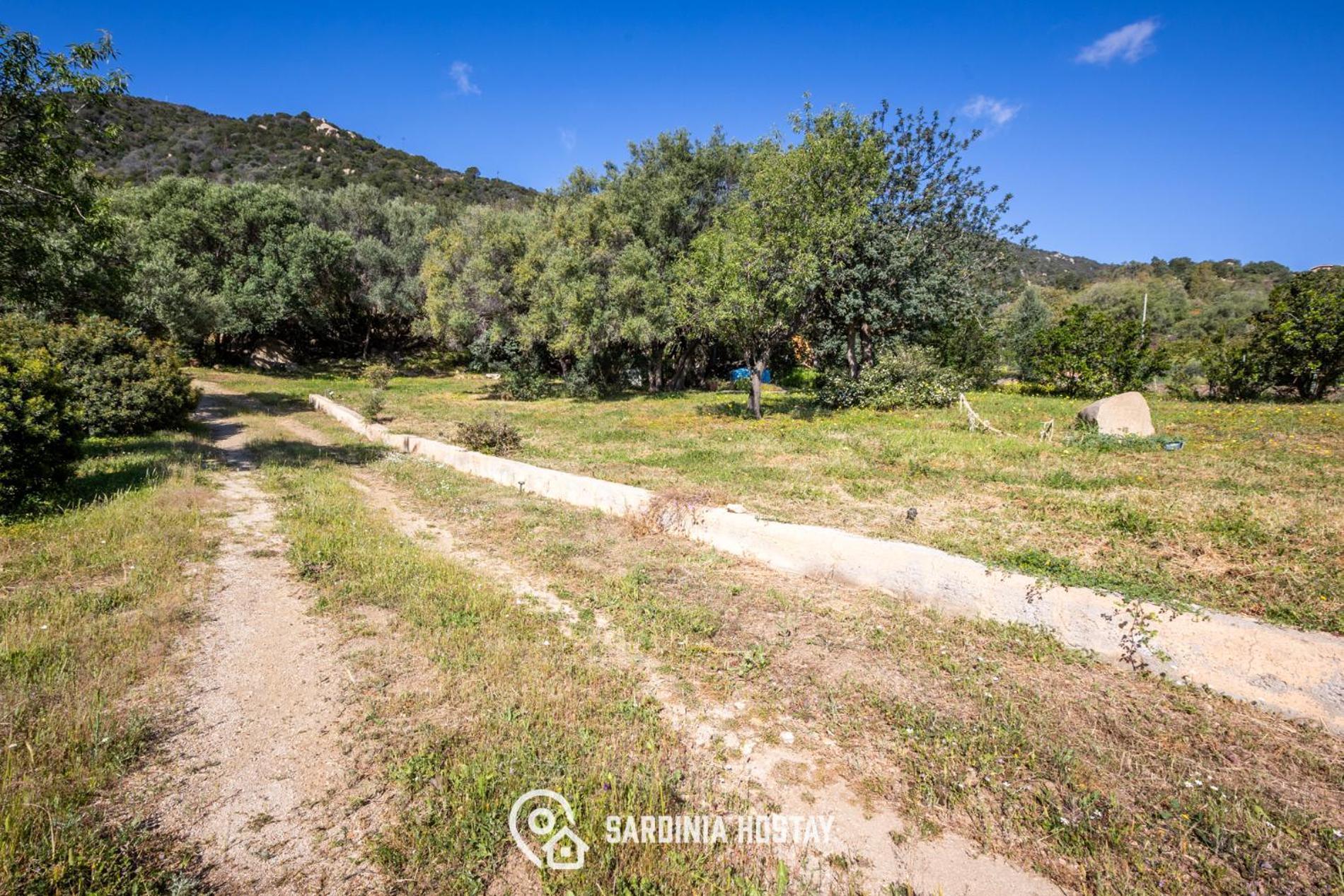 וילסימיוס Villa Emilietta מראה חיצוני תמונה