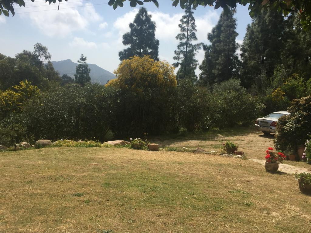 וילסימיוס Villa Emilietta מראה חיצוני תמונה